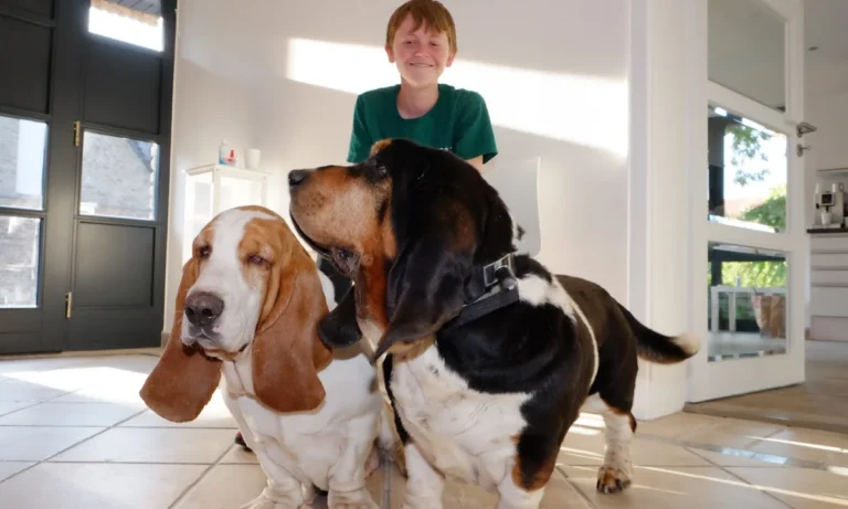 Fachtierarztpraxis Dr. Lippert