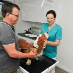 Fachtierarztpraxis Dr. Lippert