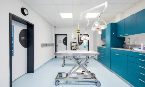 Fachzentrum für Kleintiermedizin am Chemnitz Center