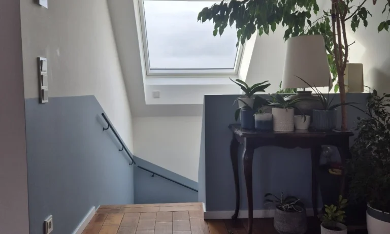 FARBDEKO FD Malerfachbetrieb GmbH