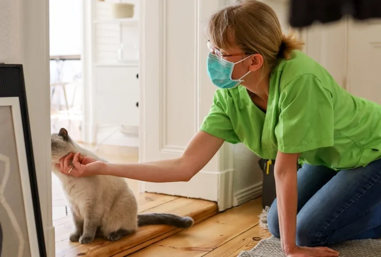 felmo Mobiler Tierarzt Bremen