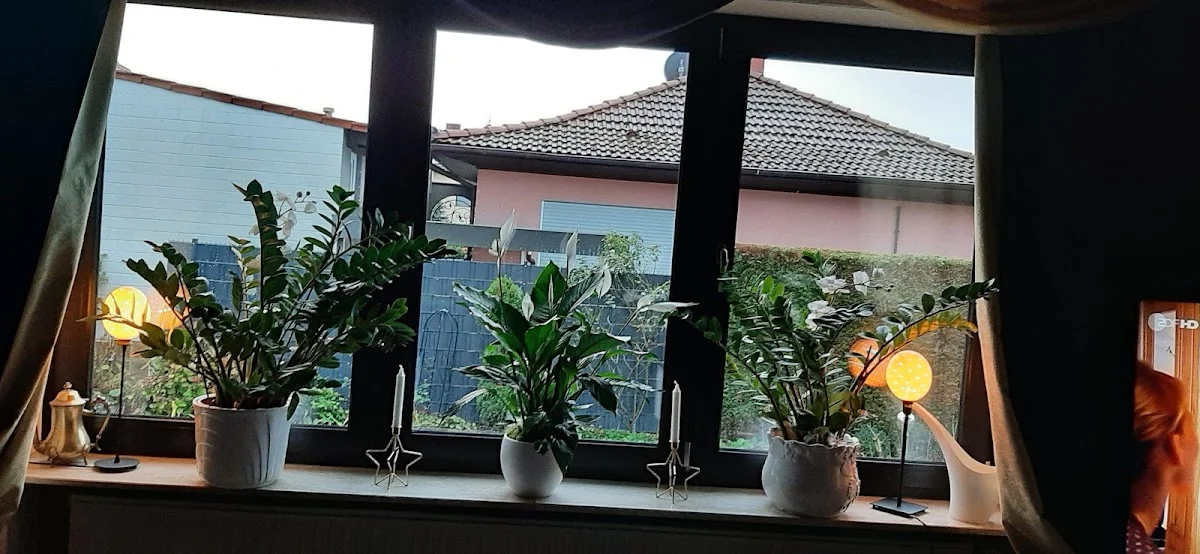 Fensterbauer Fenster Design Mainz