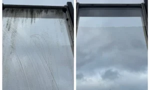 Fensterputzer Pinneberg