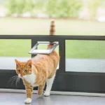 fgm | Die Fliegengittermacher