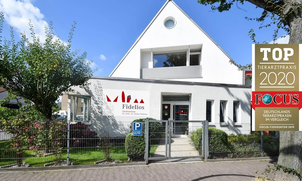 Tierarzt Fidelios TierÄrzteTeam Dr. Stefan Hofmann Düsseldorf