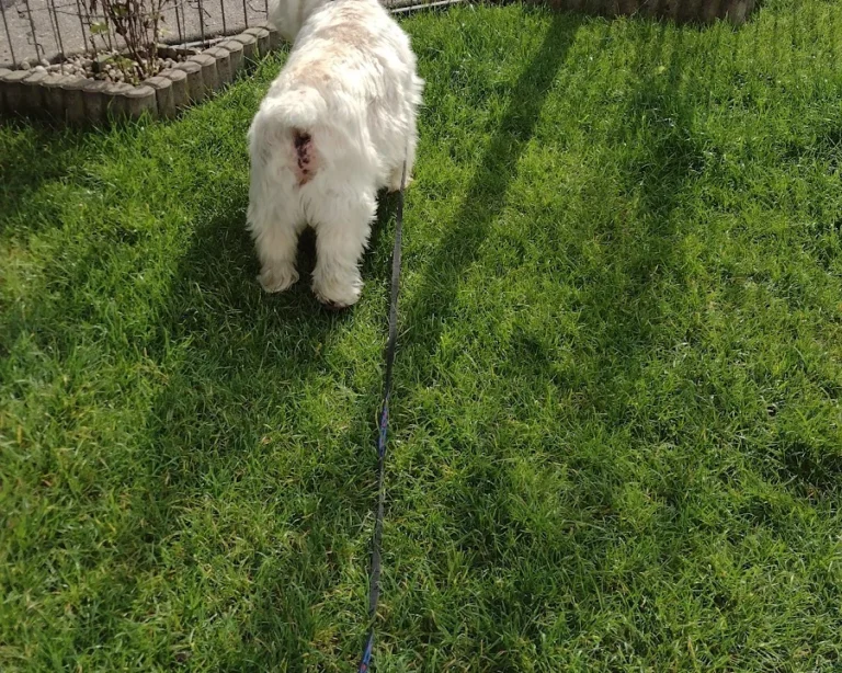 Fidelios TierÄrzteTeam Dr. Stefan Hofmann