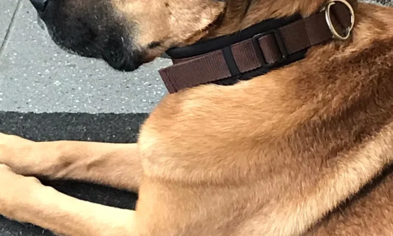 Fidelios TierÄrzteTeam Dr. Stefan Hofmann