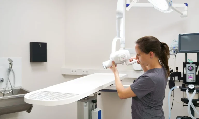 filu Tierarztpraxis Pempelfort - Allgemein- und Notfallmedizin