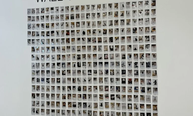 filu Tierarztpraxis Theresienwiese - Allgemein- und Notfallmedizin