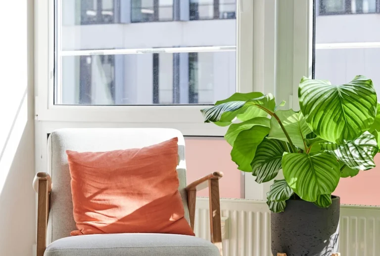 filu Tierarztpraxis Theresienwiese - Allgemein- und Notfallmedizin