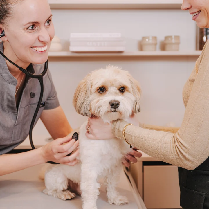 filu Tierarztpraxis Winterhude - Allgemein- und Notfallmedizin