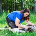 Fit.Gsund.Hund. Franziska Meyer