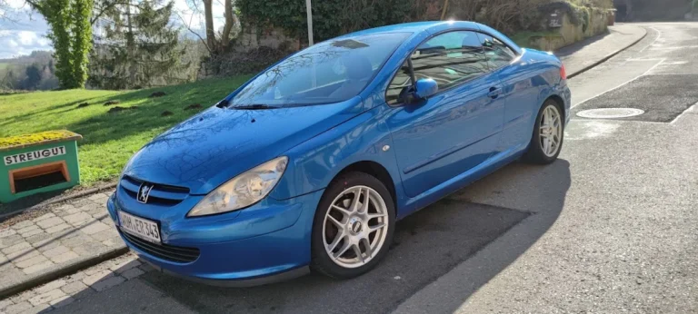 Frank Hofmann Automechanik und Elektrik