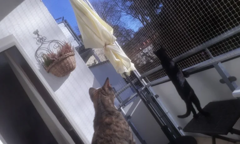 Frank Tillwix Tierärztliche Praxis