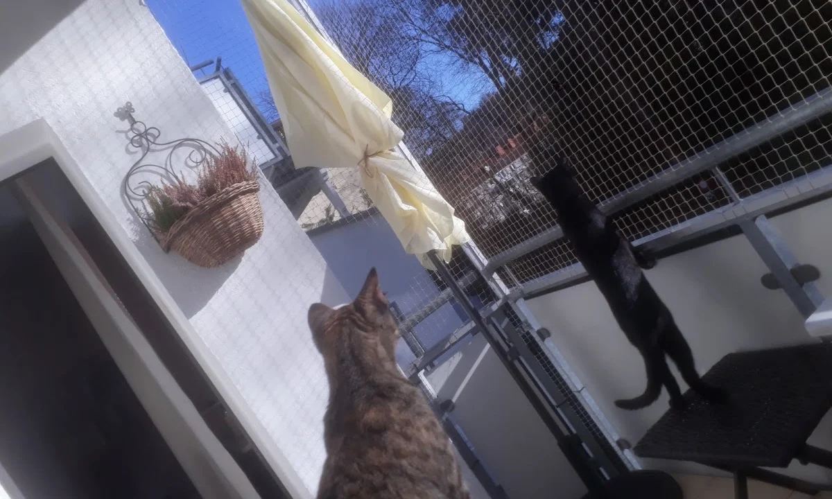 Tierarzt Frank Tillwix Tierärztliche Praxis Wuppertal