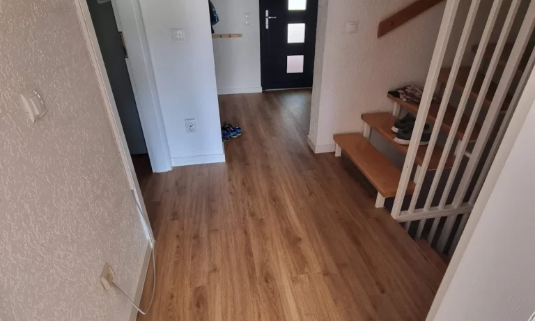 Freisen u. Niemann GmbH