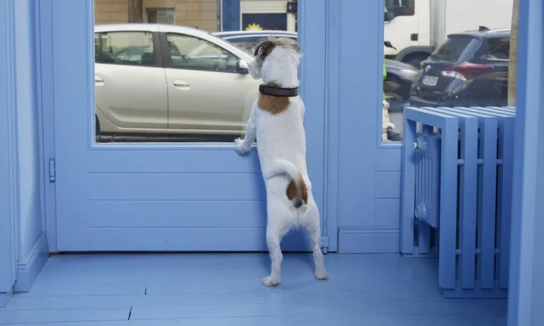 Friedrich-Wilhelm Franke Maler