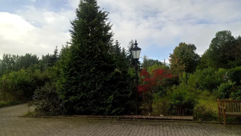 Fritz-Gerhard Martens Tierarzt