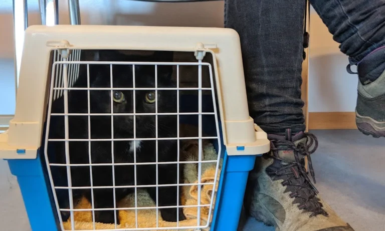 Fritz-Gerhard Martens Tierarzt