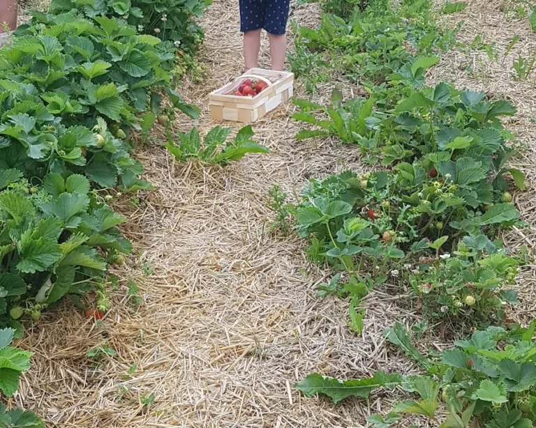 Fritz-Gerhard Martens Tierarzt