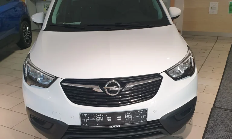 Georg Haas GmbH & Co KG (Opel-Händler)