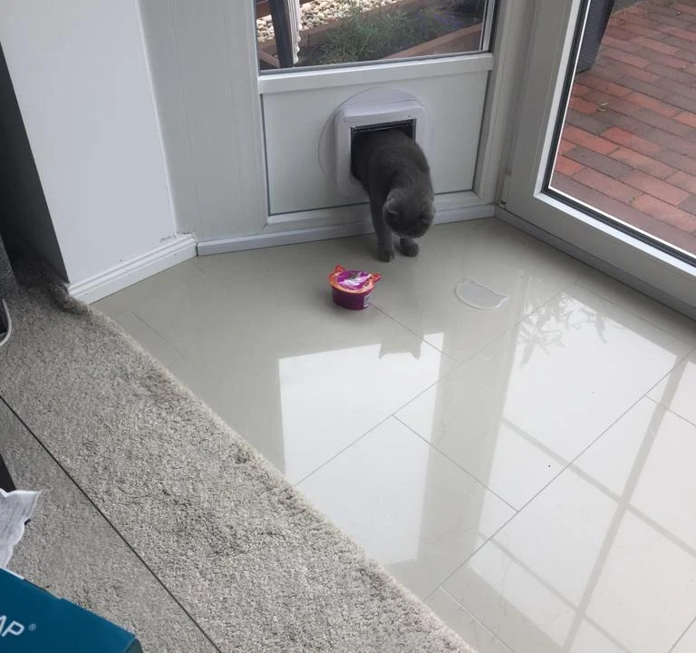 Glaserei Toni Lompa - Neugraben