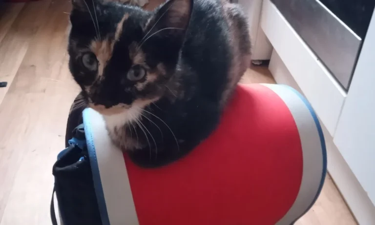 Görgler Hartmut und Saskia Dr. med. vet.