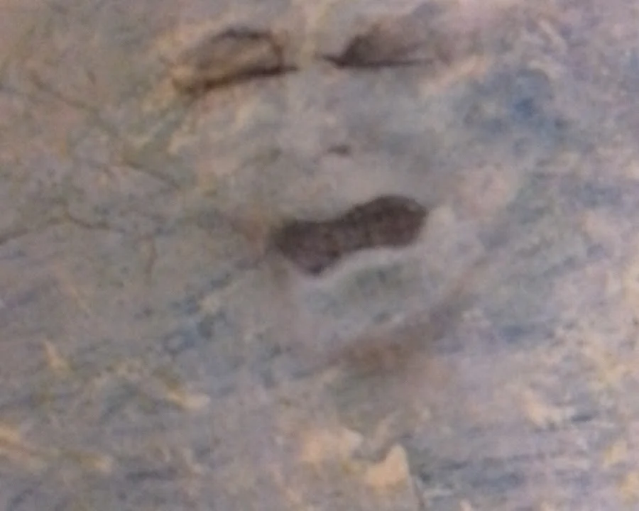 Maler H.-P. Sax Malerfachbetrieb Landshut