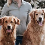 HannoTierChiro - Tierärztliche Chiropraktik