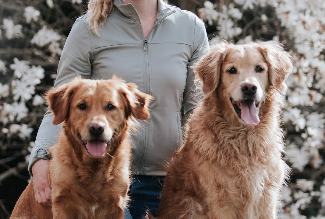 Tierarzt HannoTierChiro – Tierärztliche Chiropraktik Hannover