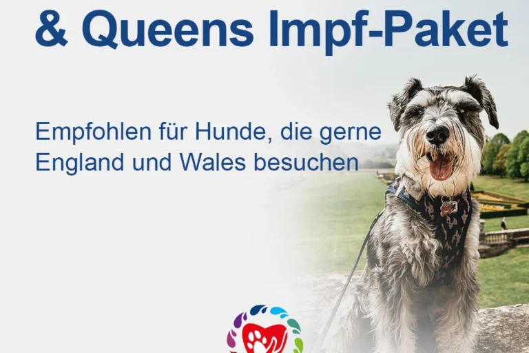 Haustiere Impfungszentrum Hamburg