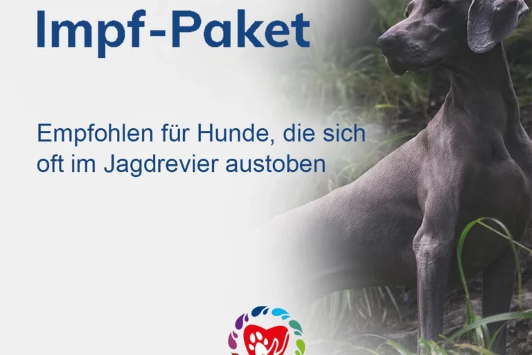 Haustiere Impfungszentrum Hamburg