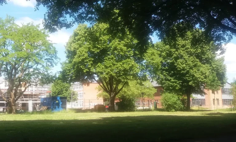 Heimke Siemen-Thiesfeld Prakt. Tierärztin