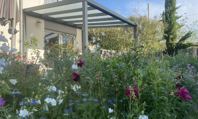 HSP Terrassenüberdachung in Heilbronn direkt vom Hersteller