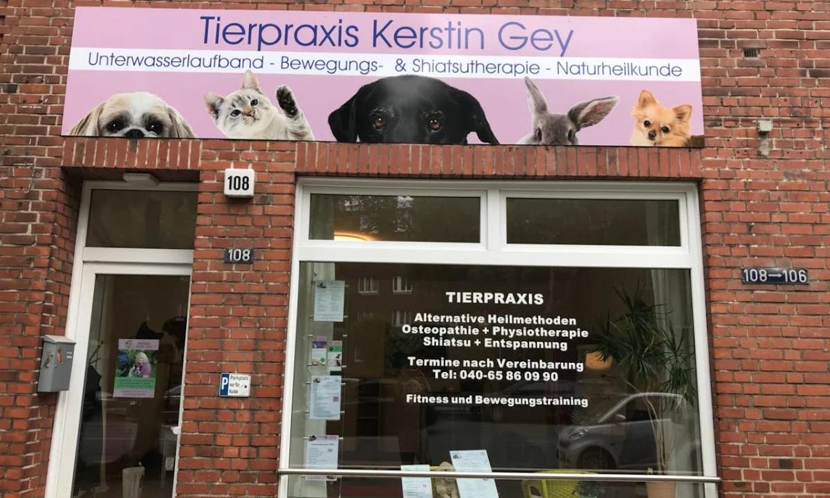 Tierarzt Hundepraxis Nootz Hamburg Hamburg