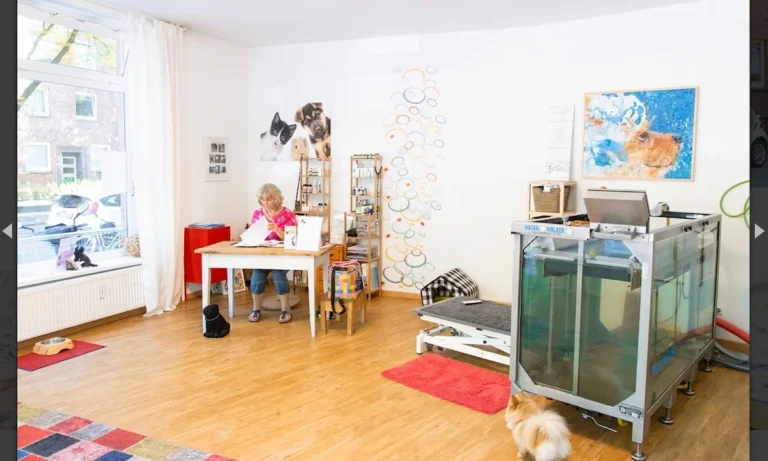 Hundepraxis Nootz Hamburg