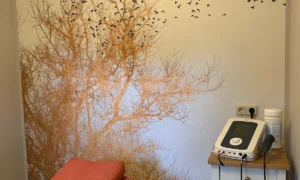 Ihre Zuhause-Macher | Malermeisterbetrieb in Dresden