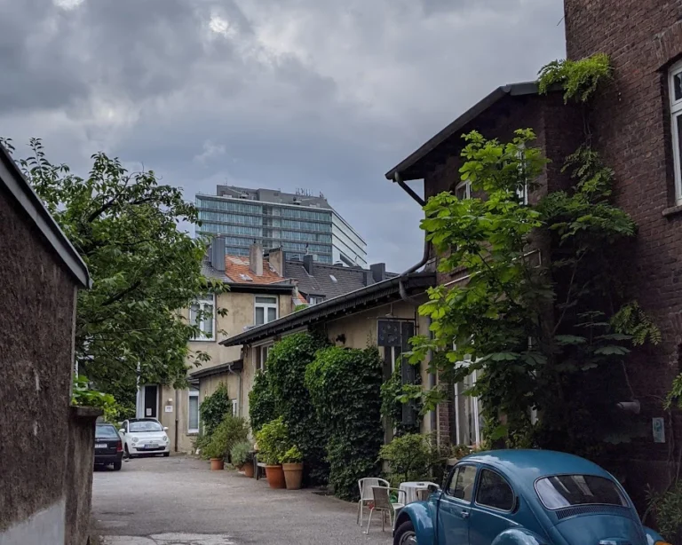 Katzenpraxis in Düsseldorf - Dr. med. vet. Katja Beyer GPCert (FelP)