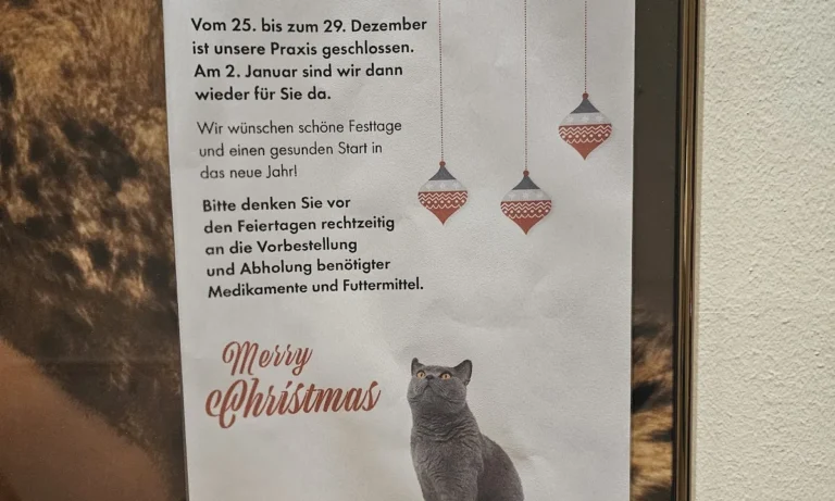 Katzenpraxis in Düsseldorf - Dr. med. vet. Katja Beyer GPCert (FelP)
