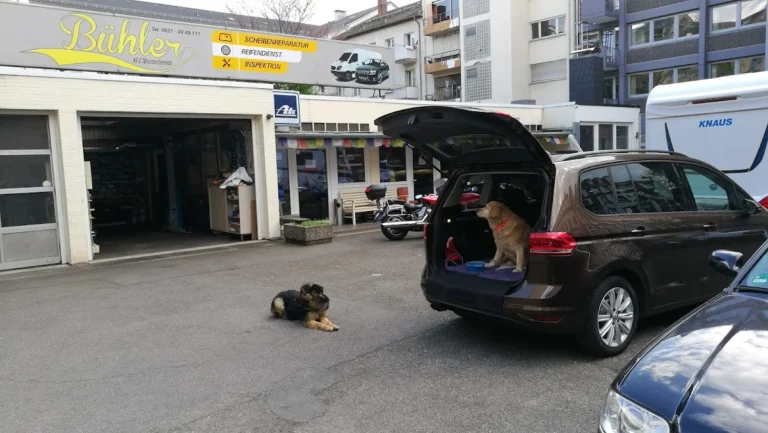 Kfz & Motorrad Werkstatt Bühler