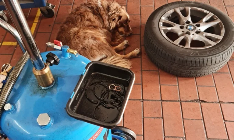 KFZ Schneyer & Wambach Gbr