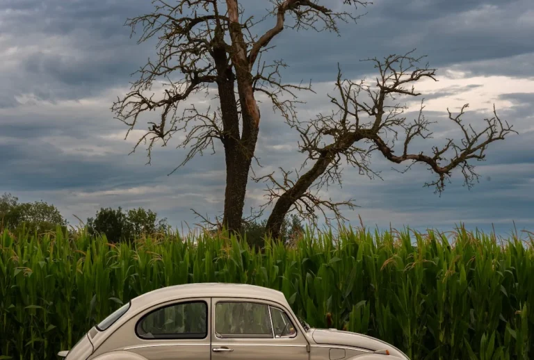 Kfz Service Helmut Peters Hilzingen