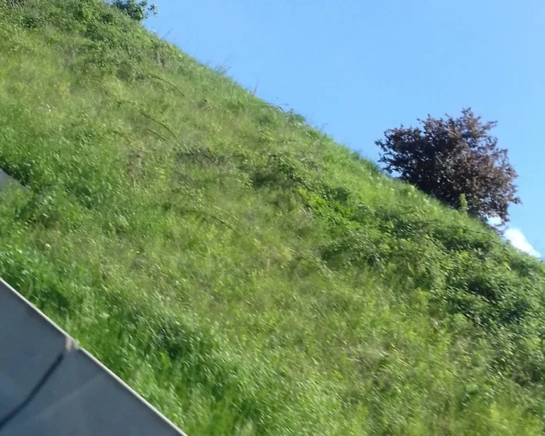 Kfz-Werkstatt Michael Silvestri GmbH