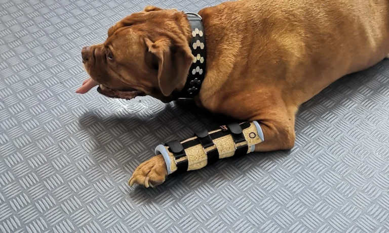 Kleintierpraxis Am Heerbusch GmbH