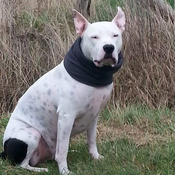 Kleintierpraxis Am Rotdorn