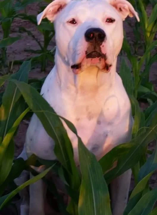 Kleintierpraxis Am Rotdorn