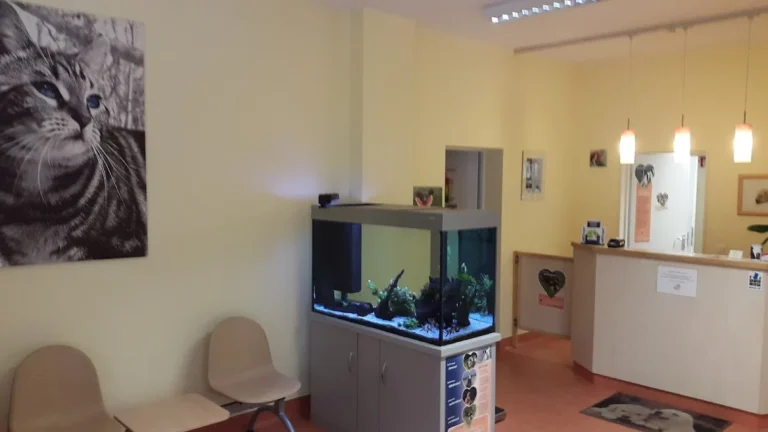 Kleintierpraxis auf der RÜ - Tierärztin Livia Schwigat