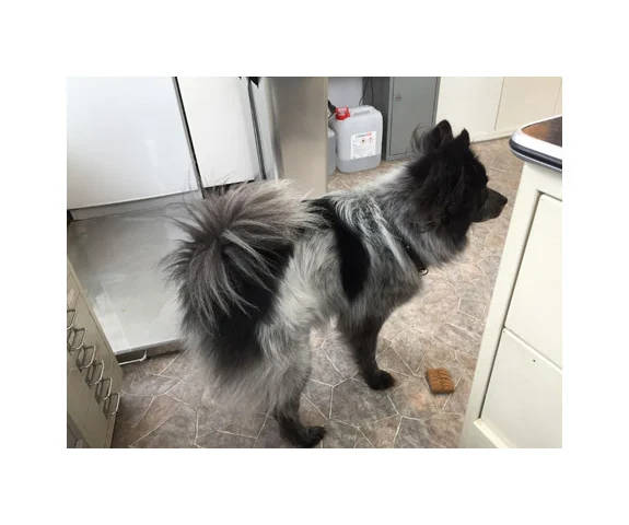 Kleintierpraxis Berg