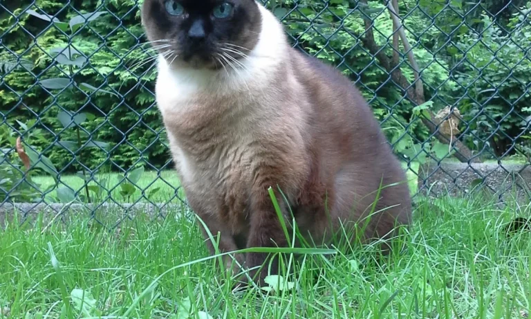 Kleintierpraxis Berg