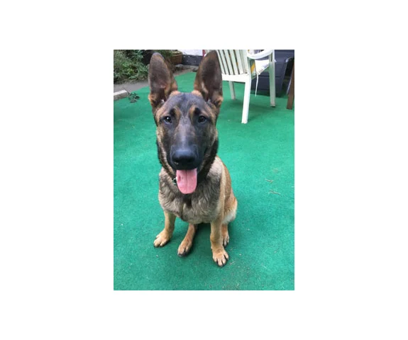 Kleintierpraxis Berg